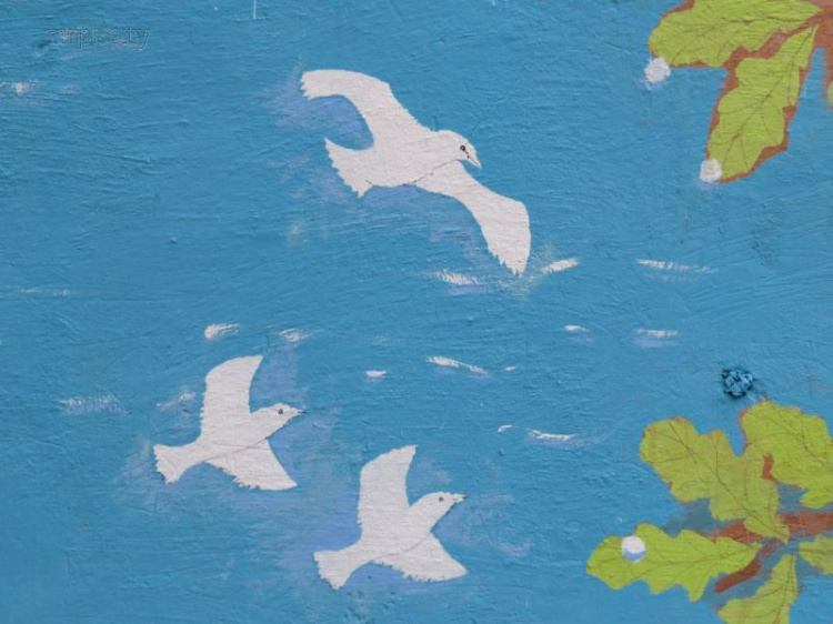 Белоснежные птицы, загадочные рыбы, розовые облака украсили Мариуполь (ФОТОФАКТ)