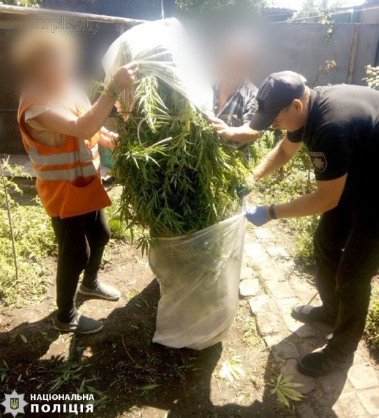 Поймали с поличным: в Мариуполе у пятерых жителей изъяли наркотики (ФОТО)
