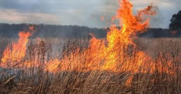 Кальмиусский и Левобережный районы Мариуполя - лидеры по возгораниям и пожарам