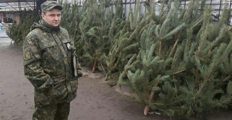 В Мариуполе перед Новым годом полицейские изымают нелегальные елки (ФОТО)