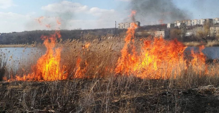 «Горячая» весна: на Донетчине с потеплением увеличилось количество пожаров (ФОТО)