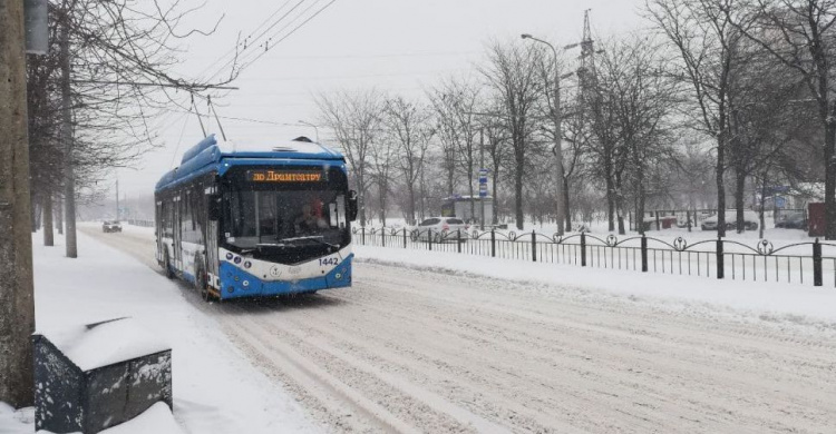 Донецкую область занесет снегом. Какая погода ожидается в Мариуполе?