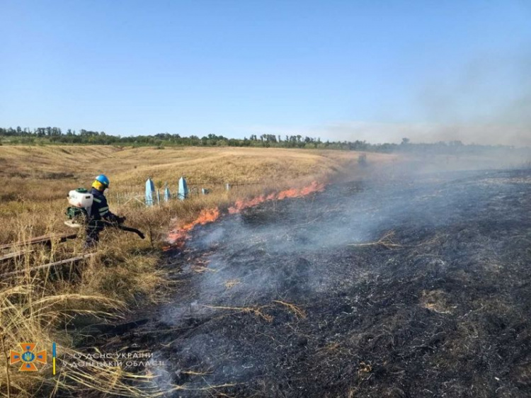 В Мариуполе выгорели гектары сухостоя