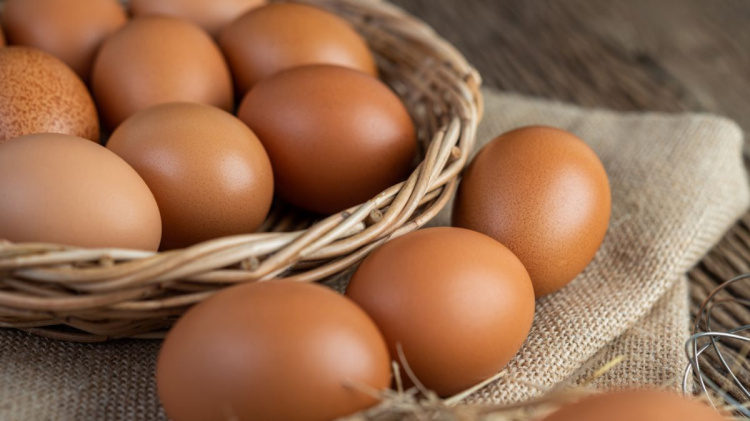 Яйця знову дорожчають – якою буде ціна перед Новим роком