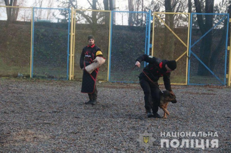 Натренированные в Мариуполе на «карусели» собаки помогли изъять свыше 100 кг взрывчатки (ФОТО+ВИДЕО)