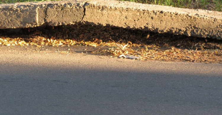 В Мариуполе жара рвет бетон на дорогах города (ФОТОФАКТ)