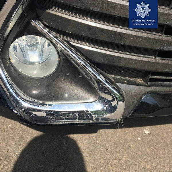 В Мариуполе под колеса машины попала собака: водителя будут судить