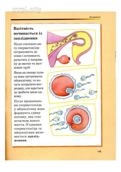 Мариупольцев возмутила книга для дошкольников «Откровенный разговор об ЭТОМ» (ФОТО, ВИДЕО)