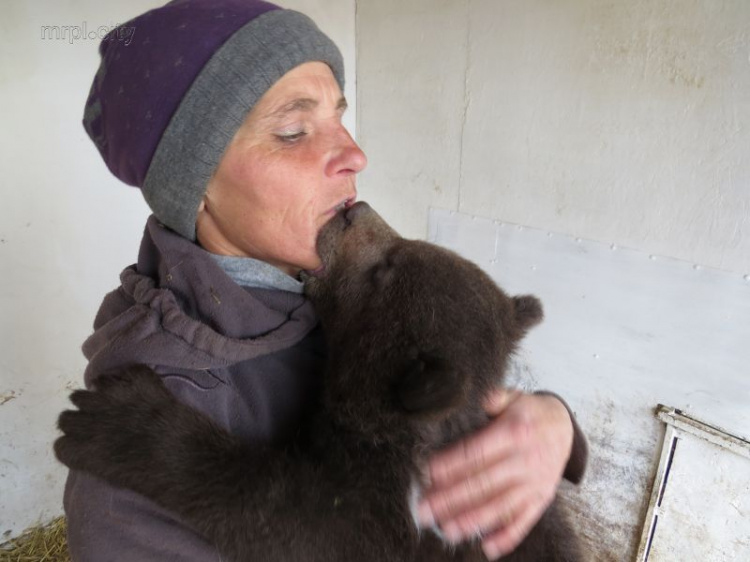  Мариупольский медвежонок продемонстрировал долгий поцелуй и любовь к конным прогулкам (ФОТО+ВИДЕО)