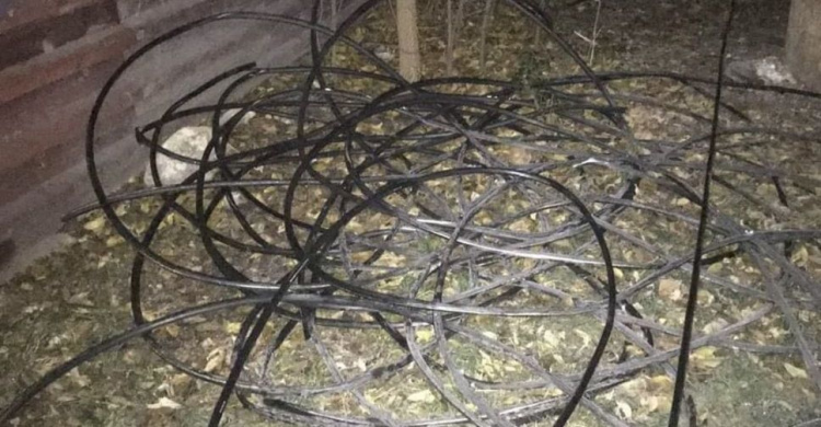 Воровали кабели: жителей Мариуполя поймали «на горячем»