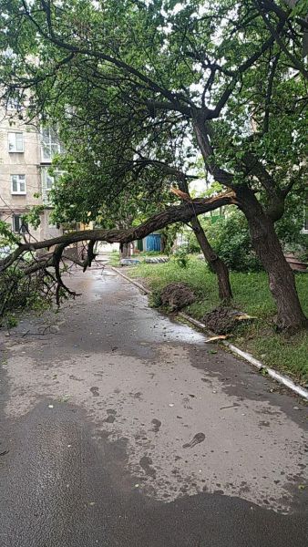 Поваленные деревья и «озера» на дорогах: какие последствия непогоды в Мариуполе? (ФОТОФАКТ)