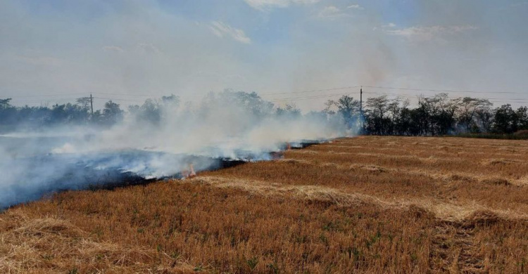 За сутки спасатели потушили 41 пожар в полях и лесах Донетчины