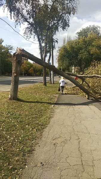 В Мариуполе ветер валит деревья и срывает металлоконструкции. Часть города обесточена (ДОПОЛНЕНО)