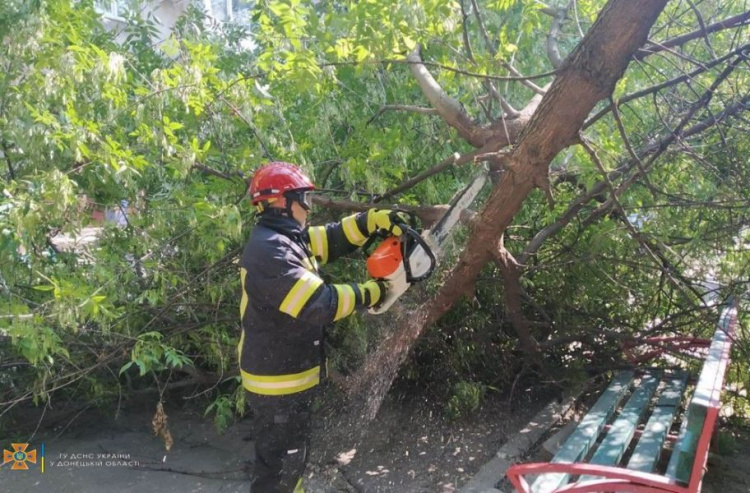 Большая ветка дерева упала на проезжую часть в центре Мариуполя