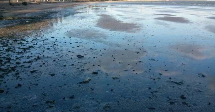Благодаря небывалому отливу на берегу Мариуполя выявлена опасность (ФОТОФАКТ)