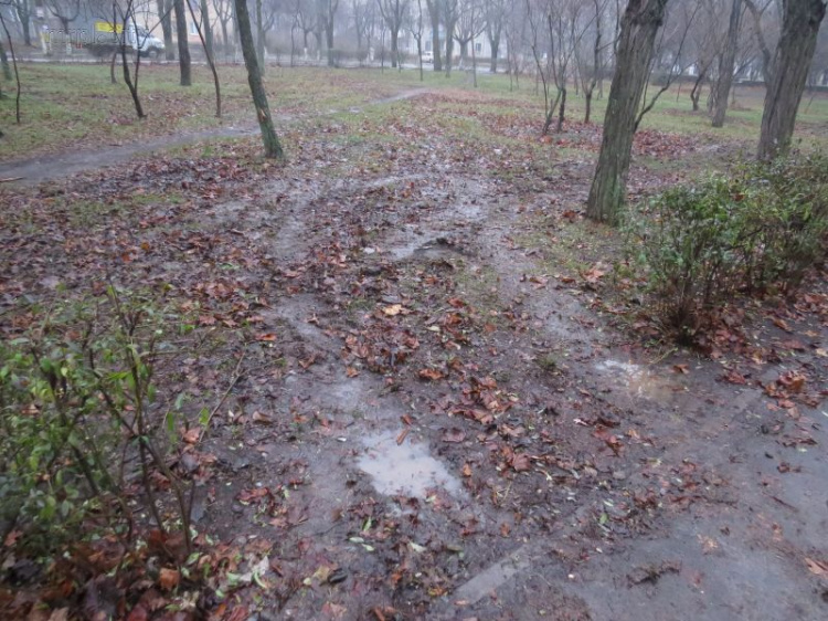 В мариупольских зеленых зонах появились загадочные следы (ФОТО)