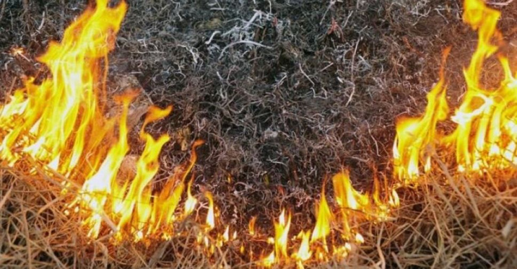 Внимание: в Донецкой области пять дней чрезвычайная пожарная опасность