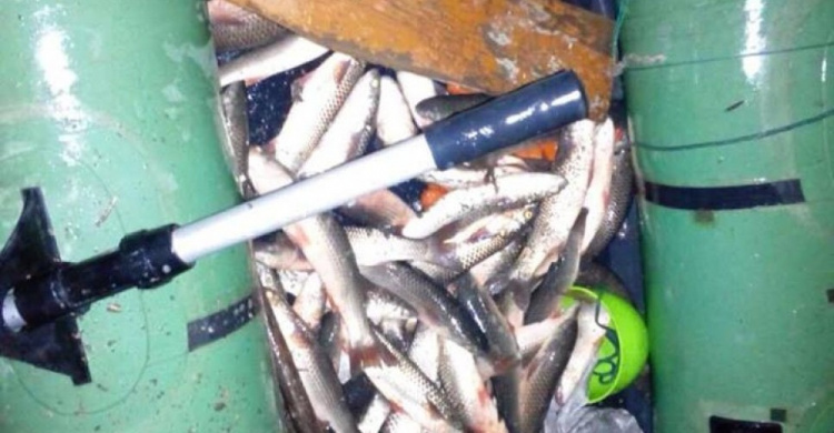 Мариуполец по ночам промышлял незаконным выловом рыбы в Кальмиусе