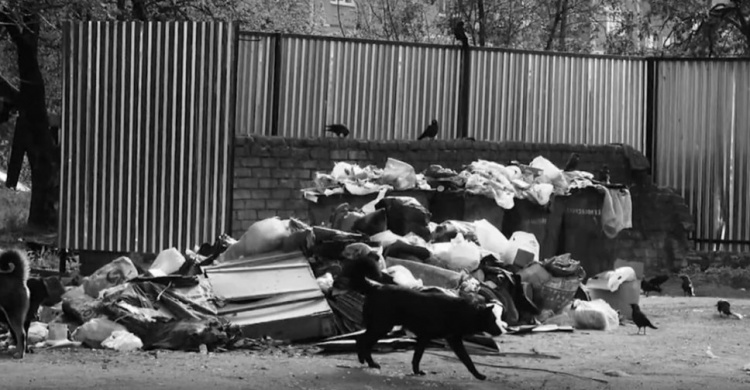Мариупольцы сняли социальный экоролик о проблеме мусора на улицах города (ВИДЕО)