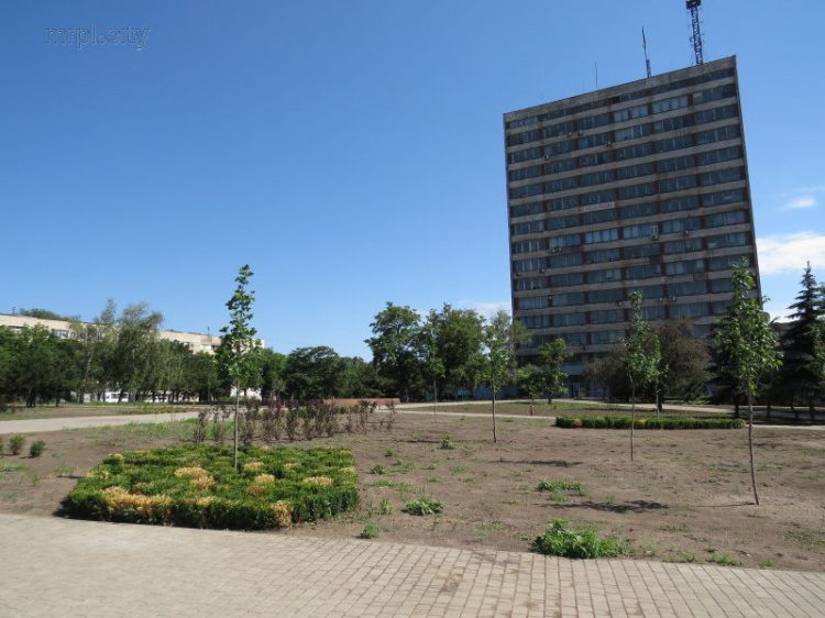Войны подрядчиков остановили озеленение главной площади Мариуполя (ФОТО)