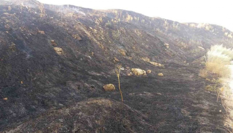 На полигоне бытовых отходов в Мариуполе вспыхнул пожар (ФОТО)