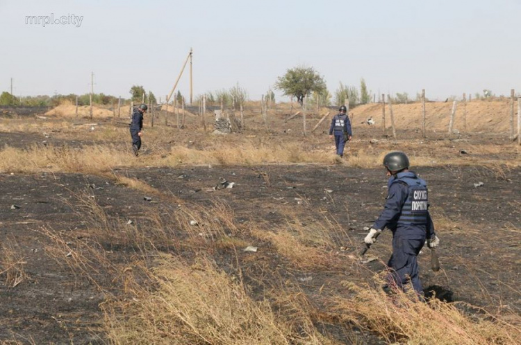Пожар в Новоянисоли: спасатели выявили 440 взрывоопасных предметов (ФОТО+ВИДЕО)