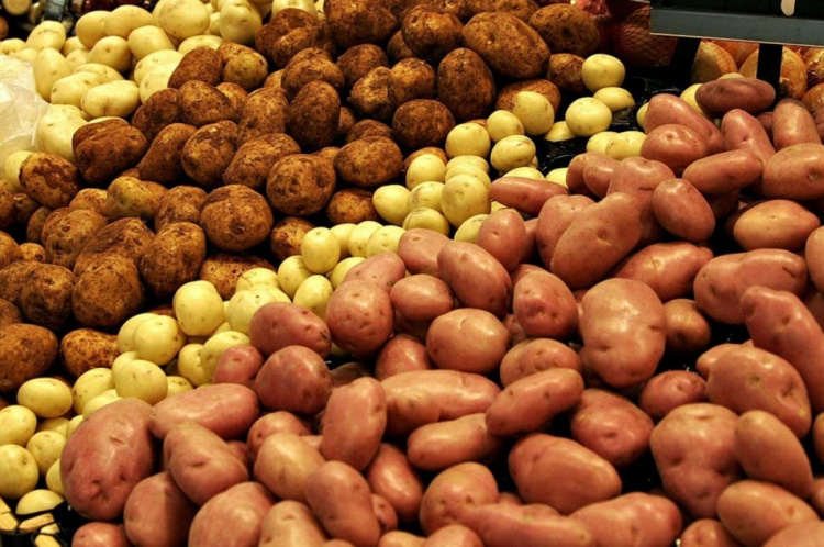 В Україні дорожчає картопля – якими будуть ціни надалі