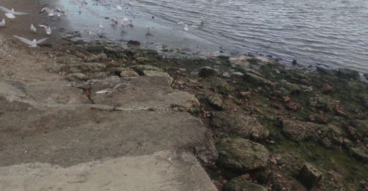 В Мариуполе ветер отогнал море от берега: спасатели приступили к уборке дна