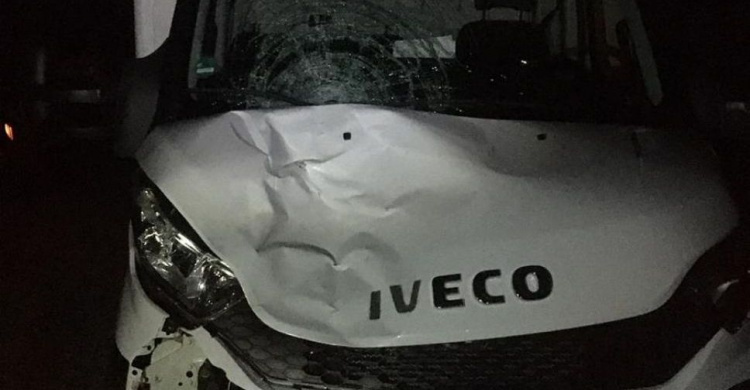 На трассе Мариуполь-Запорожье грузовик насмерть сбил пешехода: полиция ищет свидетелей
