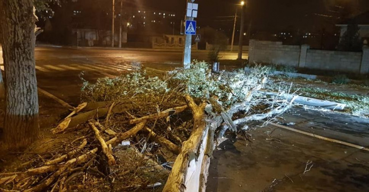 В Мариуполе шторм с порывами ветра до 24 метров в секунду
