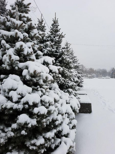 Время снеговиков и санок: в Мариуполе продолжится снег (ФОТО)