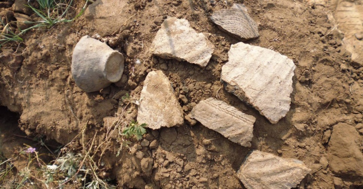На Донетчине добыча песка привела к уничтожению древнего кургана  
