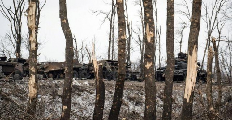 На восстановление лесов, уничтоженных боевыми действиями на Донбассе, понадобится 15 лет  