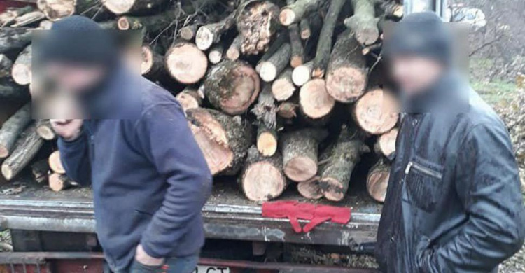 Поймали на горячем: мариупольцев задержали за вырубку деревьев (ФОТО)