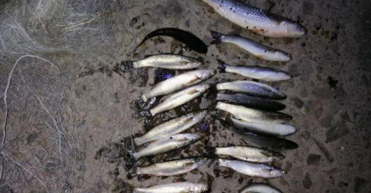 В Мариуполе браконьеры с помощью «паука» наловили рыбы на 23 тысячи грн (ФОТО)
