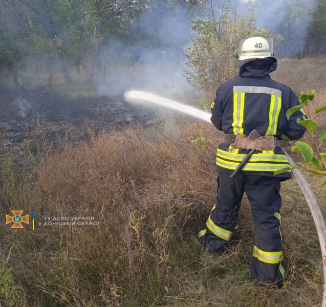 В Мариуполе выгорели гектары сухостоя
