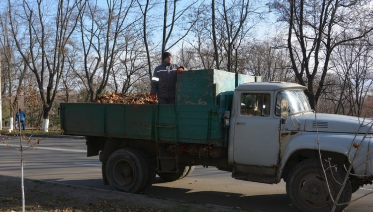 В Мариуполе ежедневно вывозят 25 тонн листвы (ФОТО)