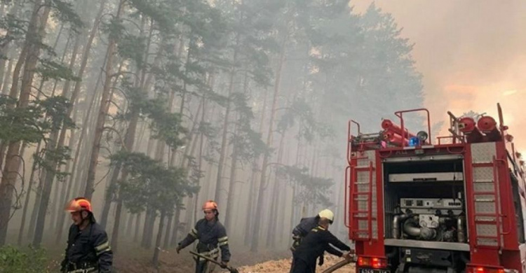 Огонь охватил около 5000 гектаров на Луганщине. Полиция назвала версии возникновения пожара
