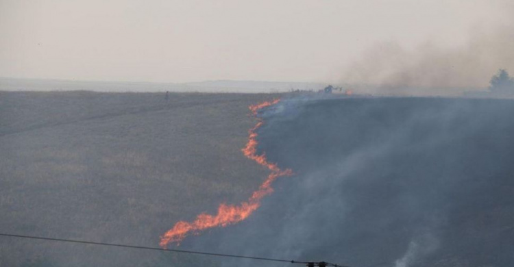 Под Мариуполем полыхает масштабный пожар – огонь подобрался к постройкам (ФОТО)