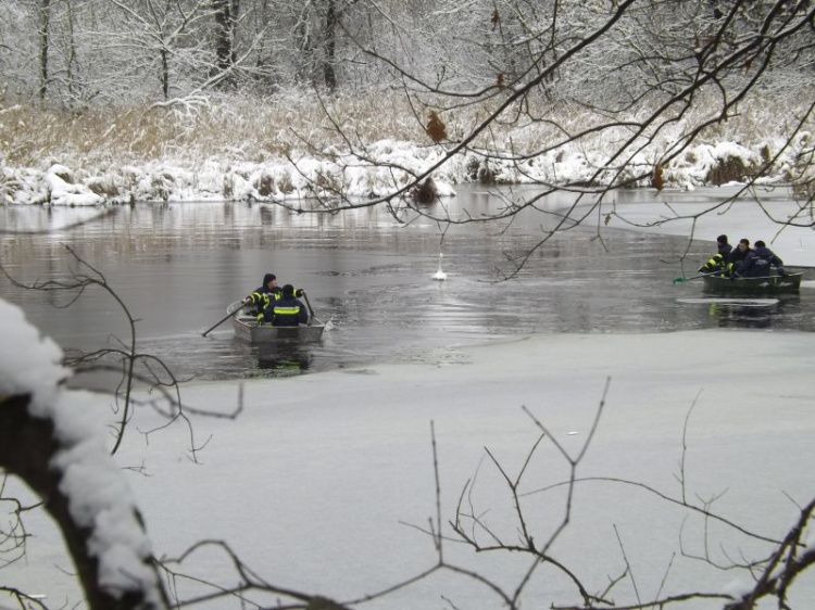 Спасатели в Донецкой области пришли на помощь замерзающему лебедю (ФОТО+ВИДЕО)