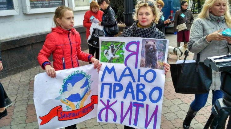 Мариупольцы сказали решительное «нет» насилию над животными (ФОТО+ВИДЕО)