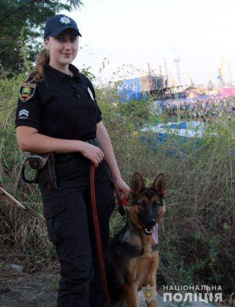 Полицейские собаки с начала года раскрыли на Донетчине около 300 преступлений (ФОТО)