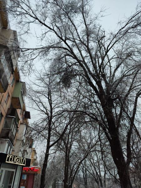 Поваленные деревья, обледенелые тротуары, оборванные электропровода: последствия непогоды в Мариуполе