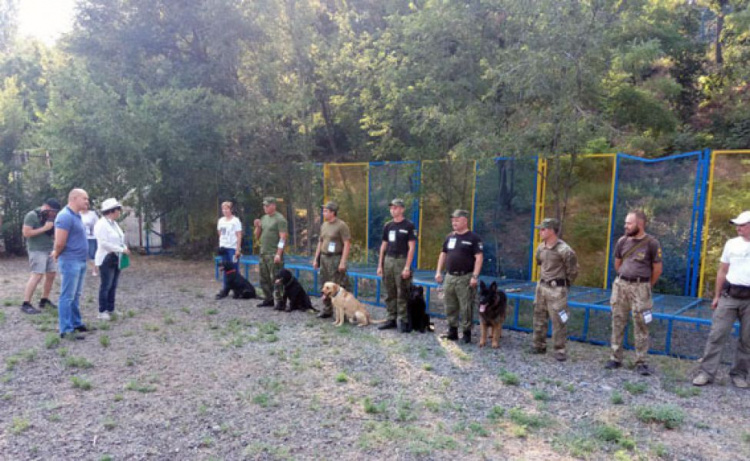 Собаки-полицейские в Мариуполе отвлеклись от дежурства ради соревнований (ФОТО)
