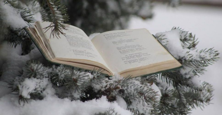 Мариупольцы устроили зимние чтения поэзии и фотоохоту за снежными пейзажами (ФОТО)