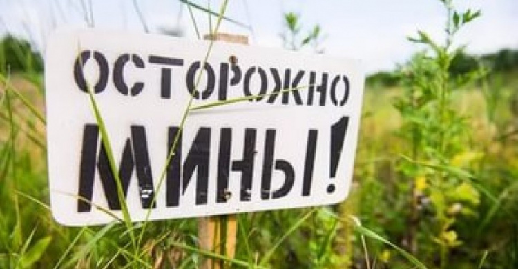 Окрестности Мариуполя в числе наиболее заминированных территорий Донбасса