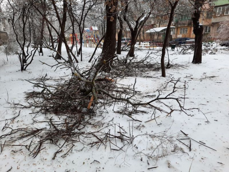Поваленные деревья, обледенелые тротуары, оборванные электропровода: последствия непогоды в Мариуполе