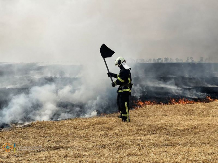 Огонь с пшеничных полей мог перекинуться на 12 жилых домов на Донетчине