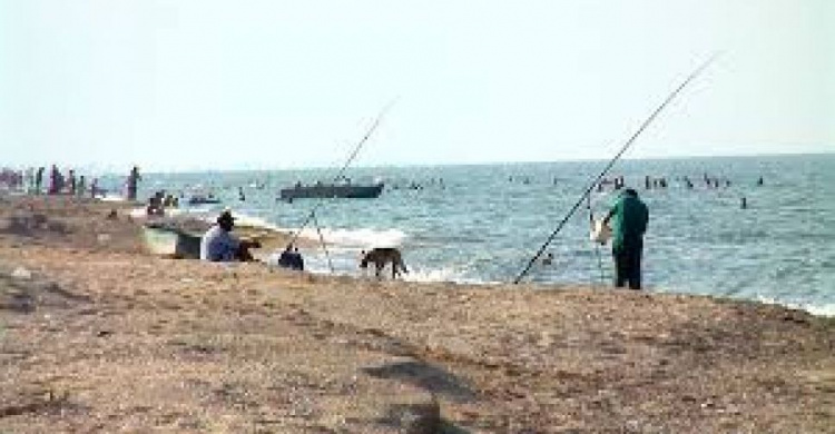 Рыбаков Азовского моря призывают вернуться в порты