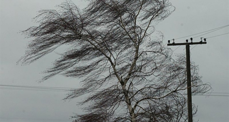 Спасатели предупреждают: в Мариуполе и области - штормовой ветер